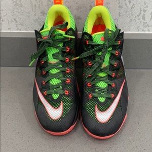 Lebrons 9.5